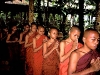 www-myanmar-rweber-monks