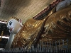 www-myanmar-rweber-lying-buddha-yangon